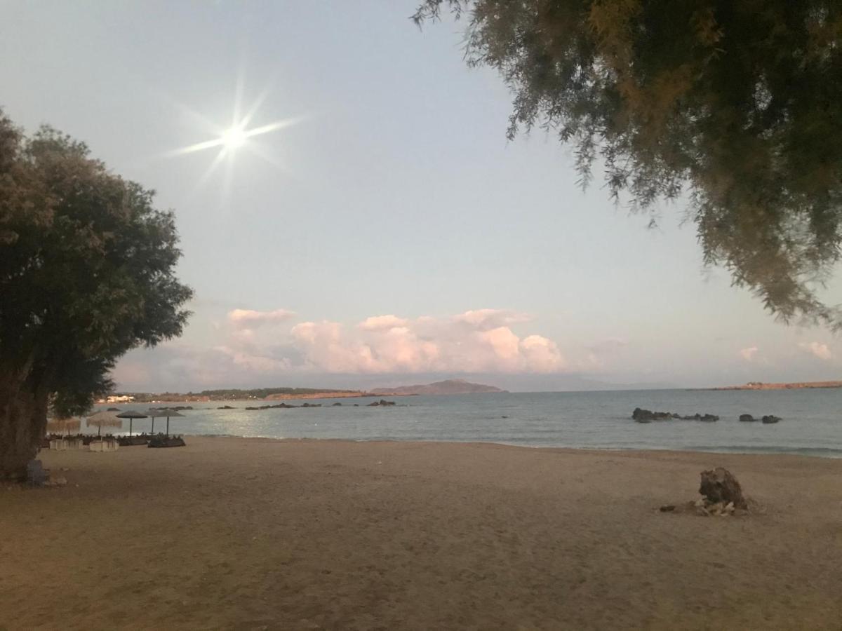 Ξενοδοχείο Φρίνη Χανιά Εξωτερικό φωτογραφία
